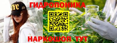 ECSTASY Волгодонск