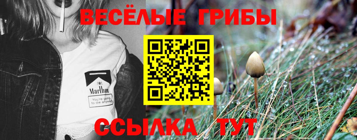 Псилоцибиновые грибы MAGIC MUSHROOMS  наркотики  Гусиноозёрск 